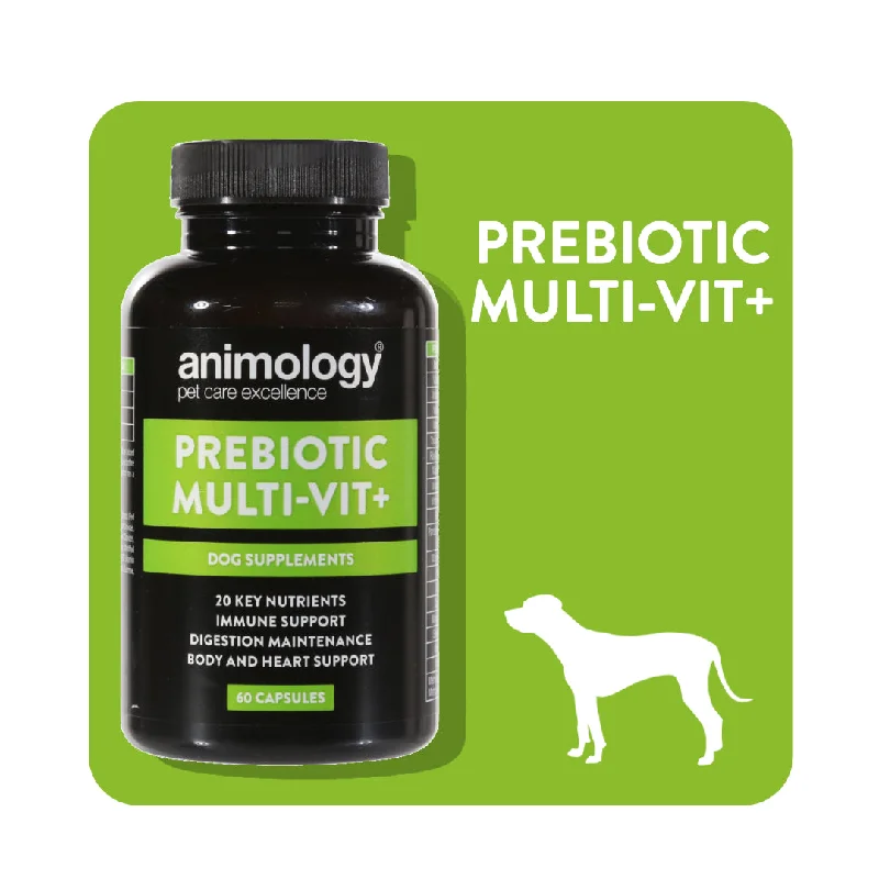 - Automatic induction pet water dispenserAnimology Prebiotic & Multivitamin Dog Supplement (60 Caps) - Automatic induction pet water dispenserAnimology Prebiotic & Multivitamin Dog Supplement (60 Caps)