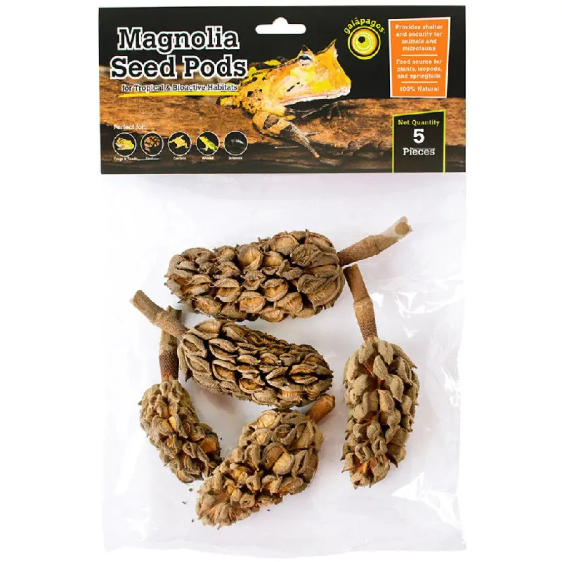 - Pet monitor with cameraGalapagos Natural Magnolia Seed Pods 5 pk