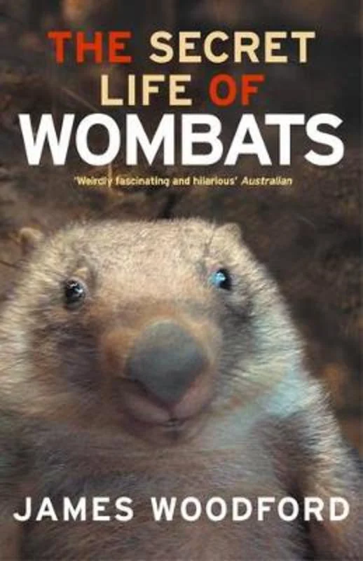 - Climbing pet constant temperature heating padThe Secret Life of Wombats