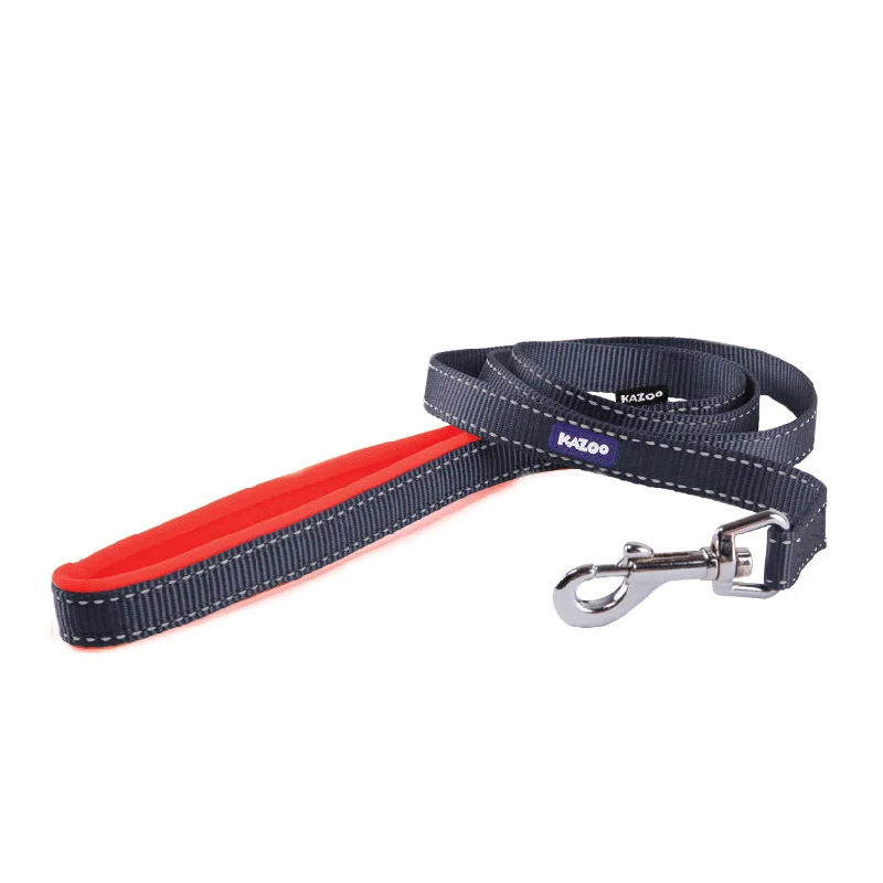 - Postoperative pet anti-licking Elizabethan collarActive Dog Lead - Slate & Orange