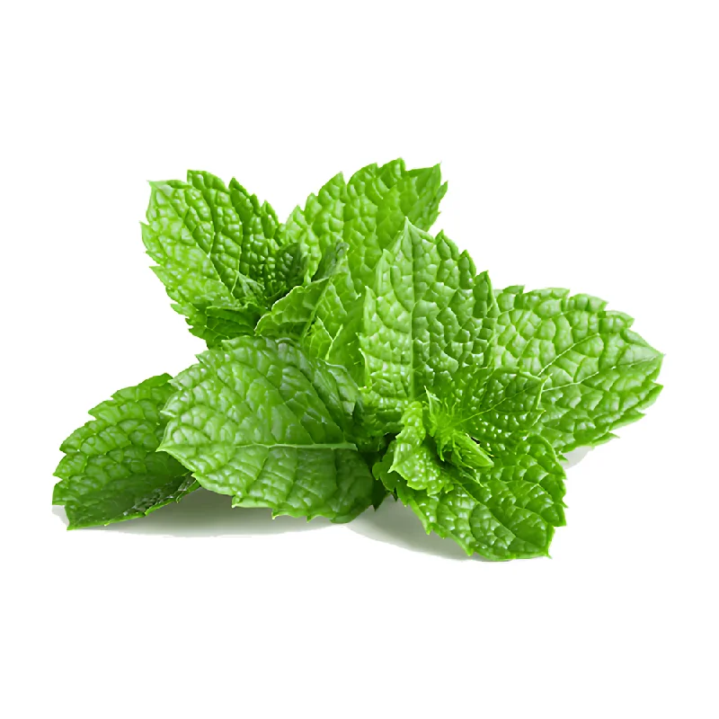Pet ProductsMINT (Bunch)