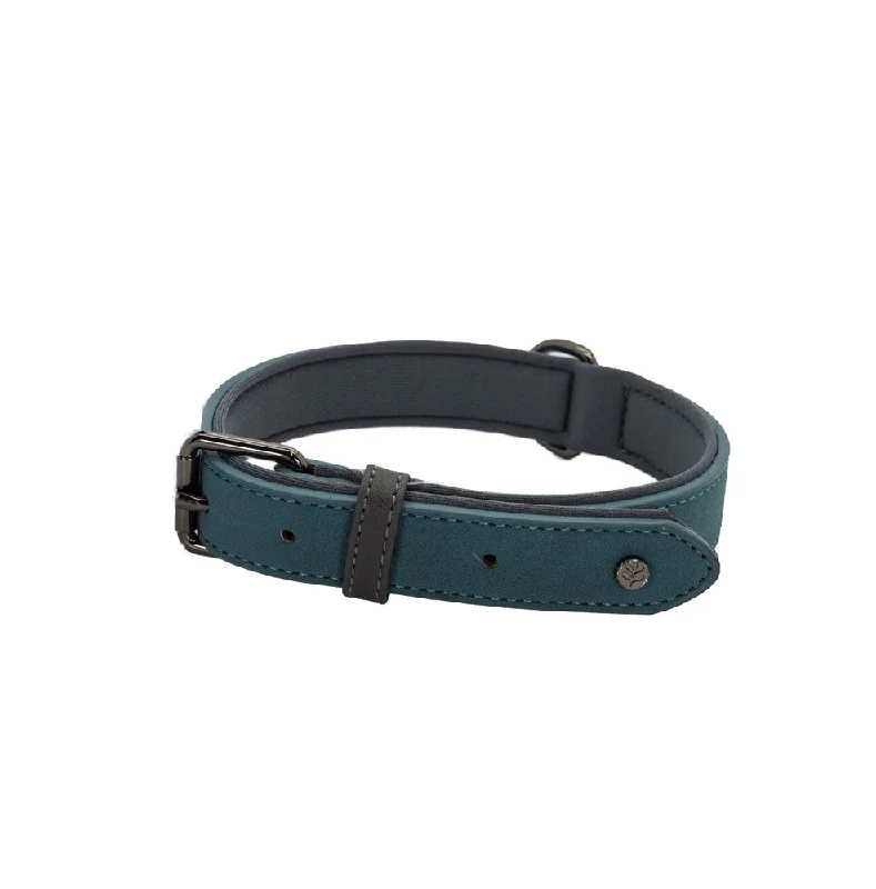 - Hamster silent running wheel to prevent chewingBrights Tech Teal Vegan Leather Dog Collar - Hamster silent running wheel to prevent chewingBrights Tech Teal Vegan Leather Dog Collar