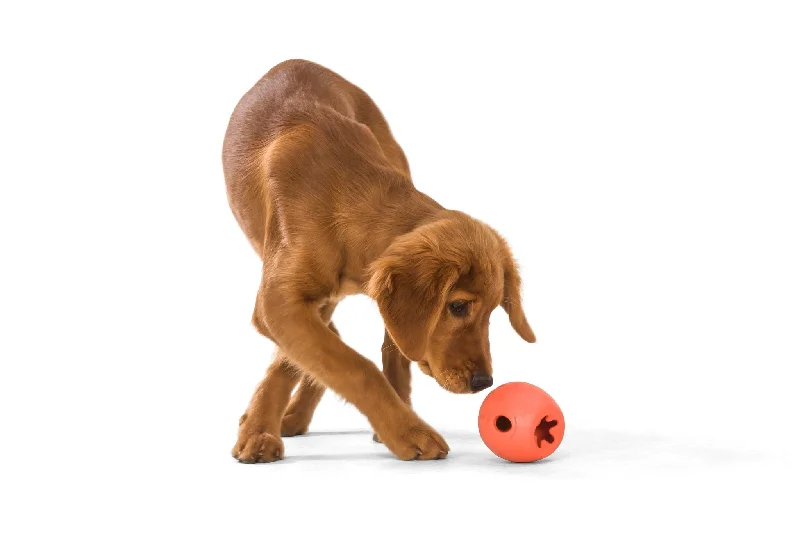 - ​​Christmas pet Christmas clothingWest Paw Rumbl Treat Dispensing Dog Toy