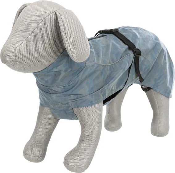 - ​​Christmas pet Christmas clothingLunas Raincoat Silver & Blue