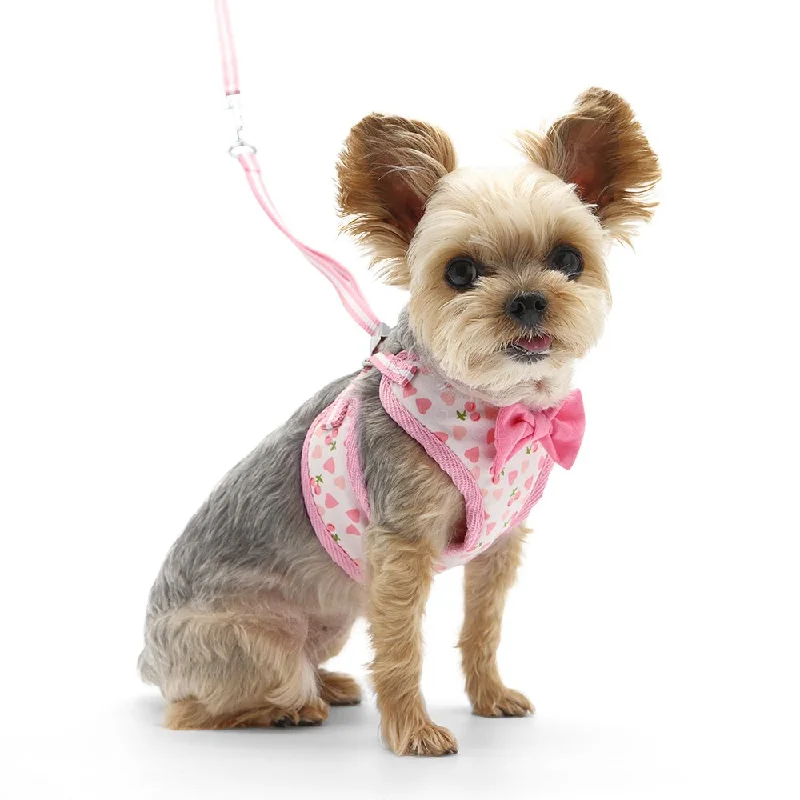 Winter warm clothes for catsEasyGO Cherish Heart Harness