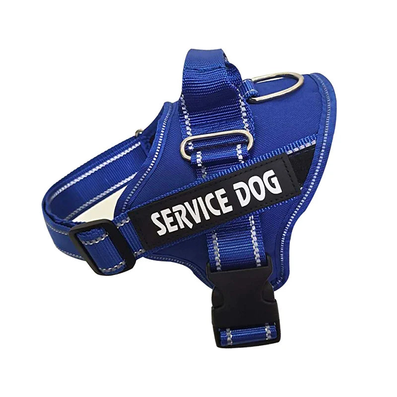 Blue no name tag