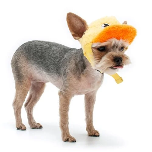Pet anti-flea collarDuck Baseball Hat Yellow