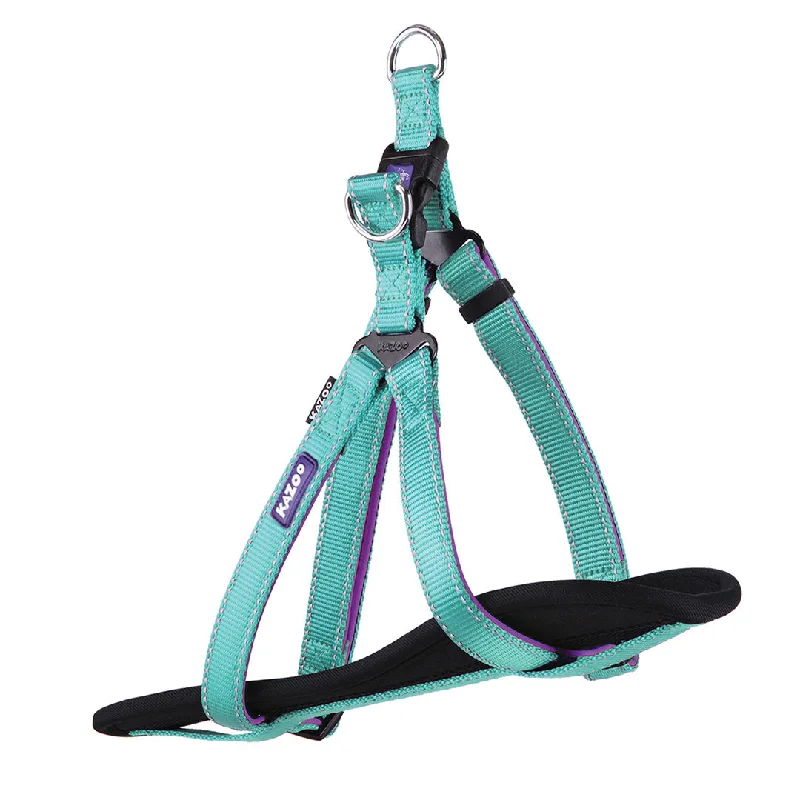 - Dog anti-slip matActive Walking Dog Harness - Aqua & Purple