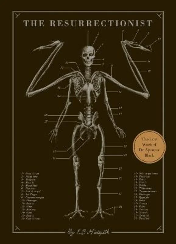  -Anti-scratch sofa protective coverThe Resurrectionist