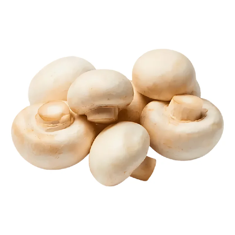 - Cat stress soothing sprayMushroom 200g