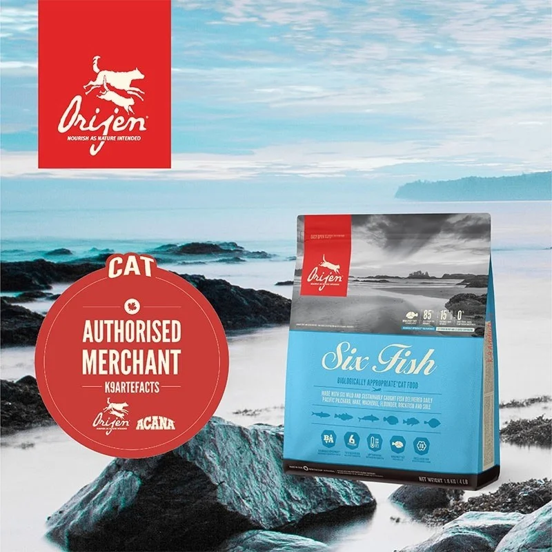    - How is Bricky cat food?  Orijen Six Fish Cat Dry Food