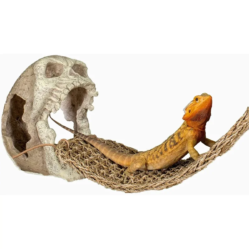 - Pet monitor with cameraReptology Skull Hide-Away Habitat Décor