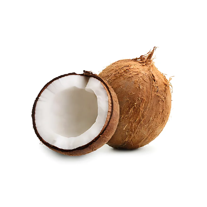 - Teething and chewing toys for puppiesCOCONUT (PC)