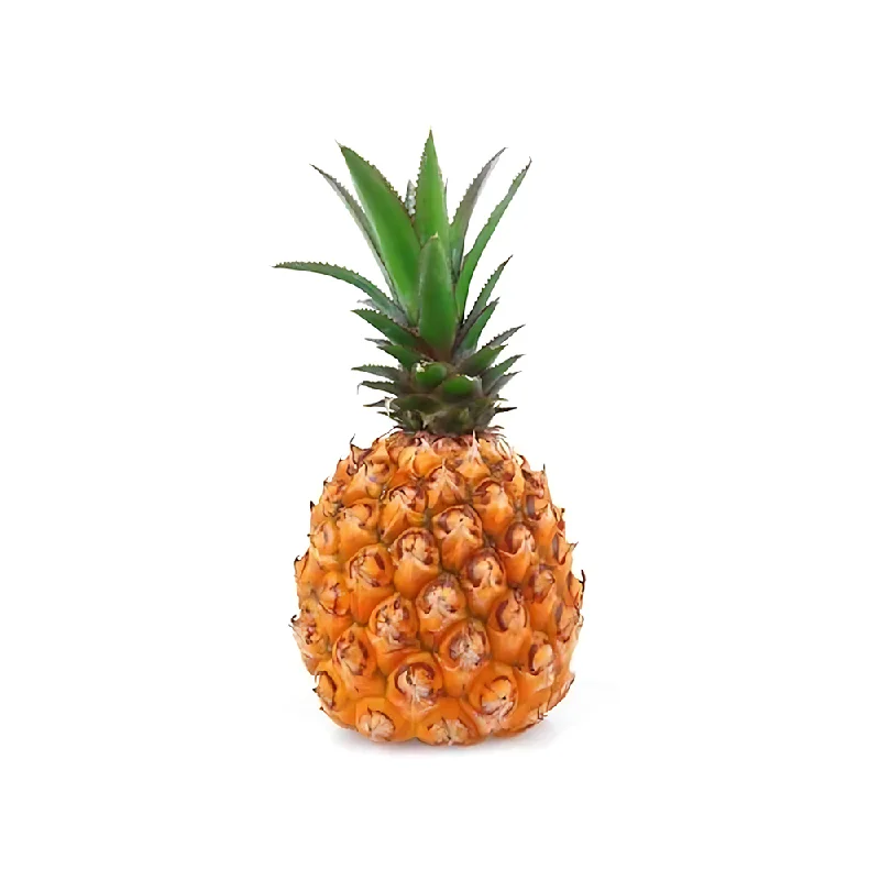 - Foldable and portable cat bagBABY PINEAPPLE (PC)