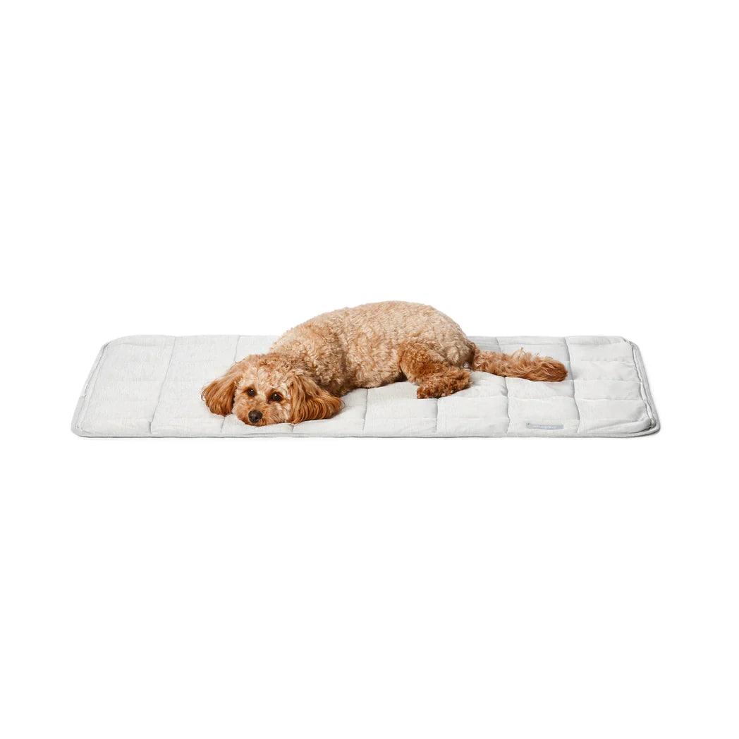 - Teething and chewing toys for puppiesSnooza – Cooling Comfort Blanket – Powder Grey - Teething and chewing toys for puppiesSnooza – Cooling Comfort Blanket – Powder Grey
