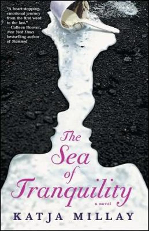 - Pregnant cat delivery room warming boxThe Sea of Tranquility