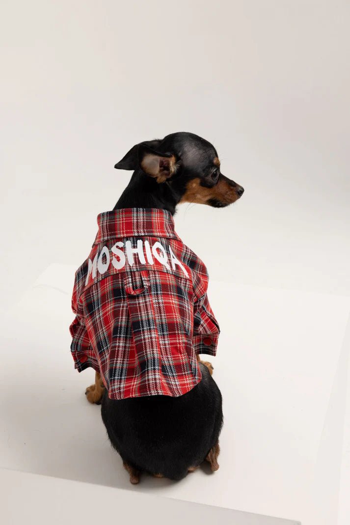 Pet wedding dressesJohnny Dog Shirt