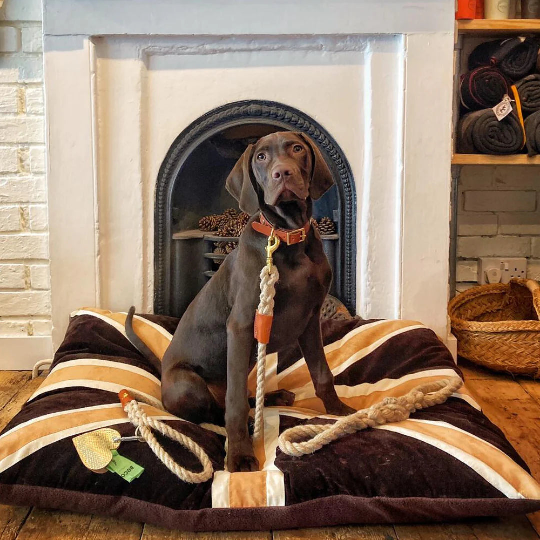 - Winter dog thick down jacketCreature Clothes Union Jack Dog Doza Bed In Tan, Brown & Cream - Winter dog thick down jacketCreature Clothes Union Jack Dog Doza Bed In Tan, Brown & Cream