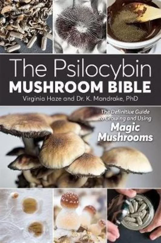 - Chinchilla cooling ice nest ceramic plateThe Psilocybin Mushroom Bible