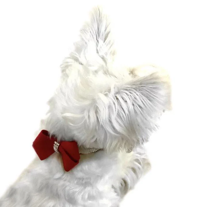 Classification by material or design:First Place Bow Dog Collar Slider Red