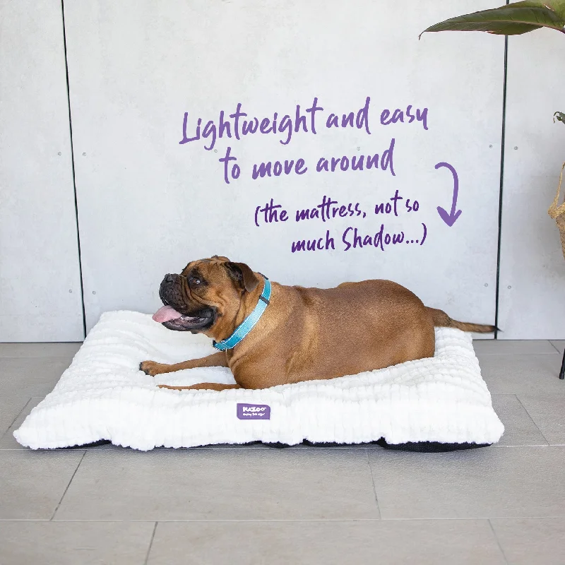 - Deodorizing cat litter tofu litterStorm Dog Pillow - Cream