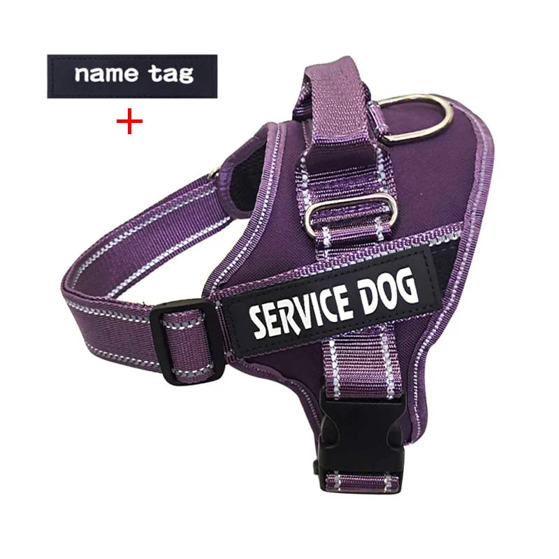Purple with tag