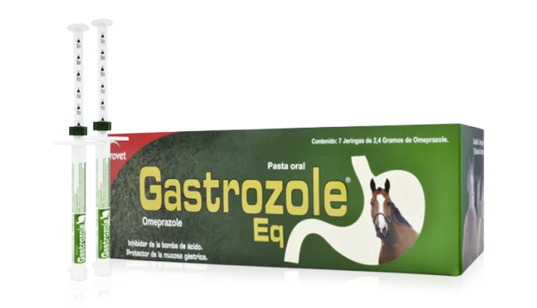 - Dog anti-slip matGastrozole Eq