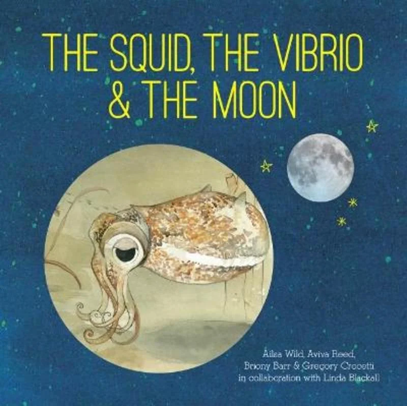 - Elderly dog ​​joint care mattressThe Squid, the Vibrio and the Moon