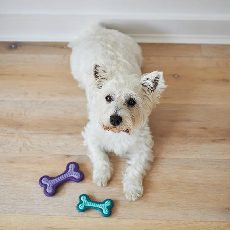 - Summer pet ice matPuppy Teether Dog Toy