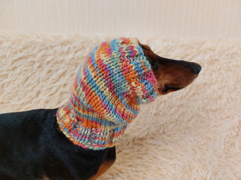 - Pet vitamin complex nutrition tabletsSnood scarf wool for dog handmade, Knitted Warm Wool Pet Snood Scarf, Dog Snood Scarf Clothes, Christmas dog, Winter Dog Accessories