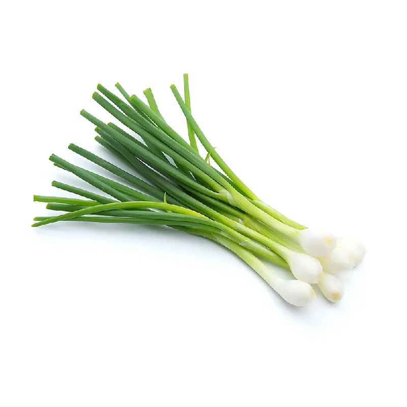 - Organic cotton dog bibsSPRING ONION (Sabz Piyaz) (1 KG TO 250 GM)