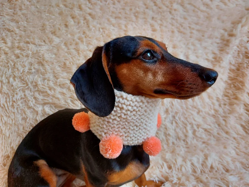 - Deodorizing cat litter tofu litterHandknitted woolen christmas dog snood with pom poms, knitted dog neck warmer, dachshund and snood dog scarf with pom poms