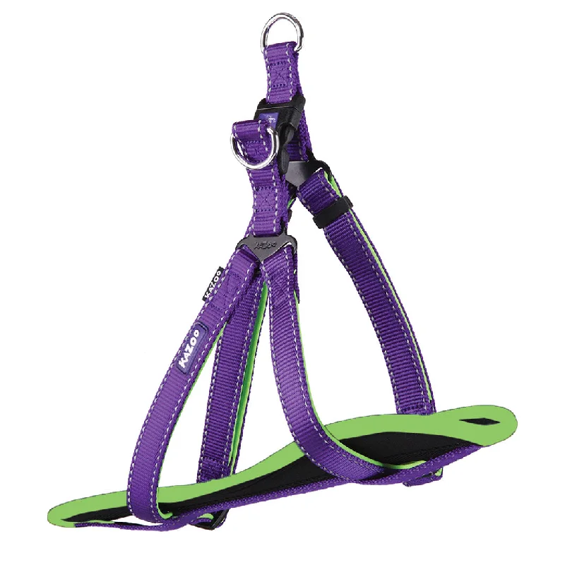 - Car dog seat beltActive Walking Dog Harness - Purple & Lime
