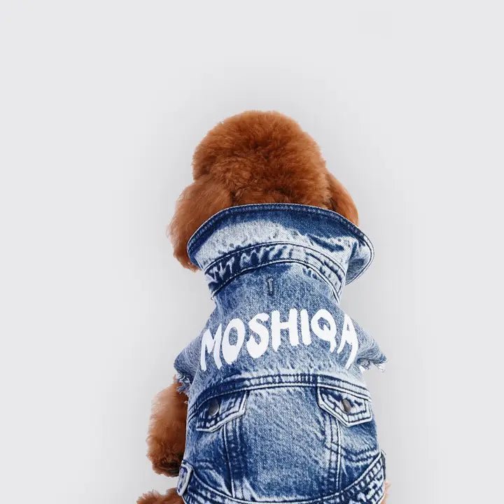 Pet lace clothesMoshiqa Denim Jacket