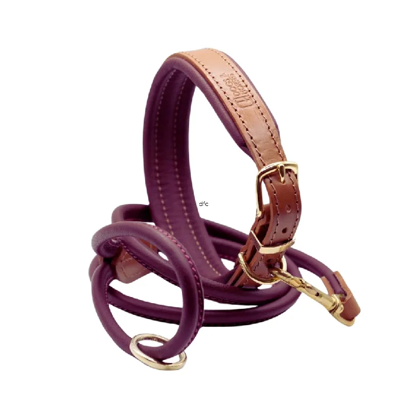 - Pet diabetes prescription foodTan & Merlot Luxury Padded Leather Dog Collar and Rolled Lead Set by Dogs & Horses - Pet diabetes prescription foodTan & Merlot Luxury Padded Leather Dog Collar and Rolled Lead Set by Dogs & Horses