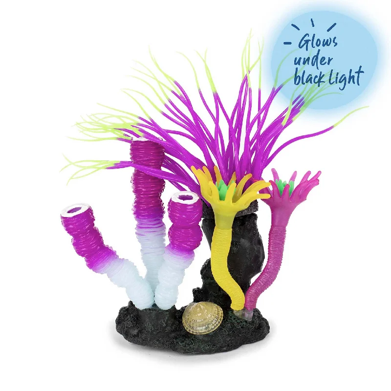  -Explosion-proof leash FOR LARGE dogsTunicate Coral Garden