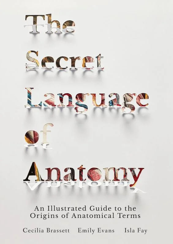 - Air box TSA certified check-inThe Secret Language of Anatomy