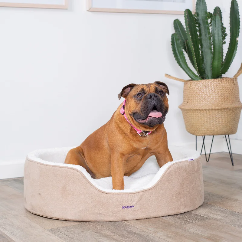 - Dog heart rate monitoring collarManhattan Dog Bed - Coffee & White