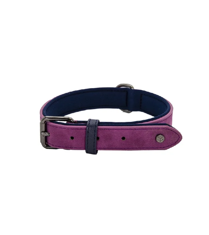 -Splash-proof food bowl AND Anti-choking slow food bowlBrights Tech Raspberry Vegan Leather Dog Collar -Splash-proof food bowl AND Anti-choking slow food bowlBrights Tech Raspberry Vegan Leather Dog Collar
