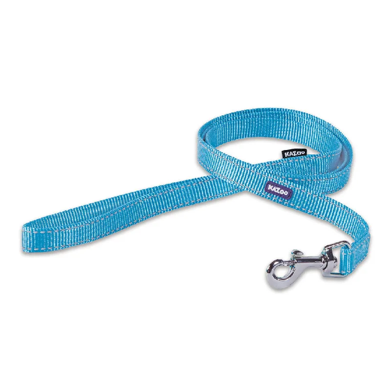 - Pet monitor with cameraClassic Dog Lead - Aqua