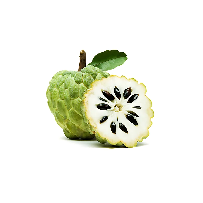 - Organic cotton dog bibsCUSTARD APPLE (Box)