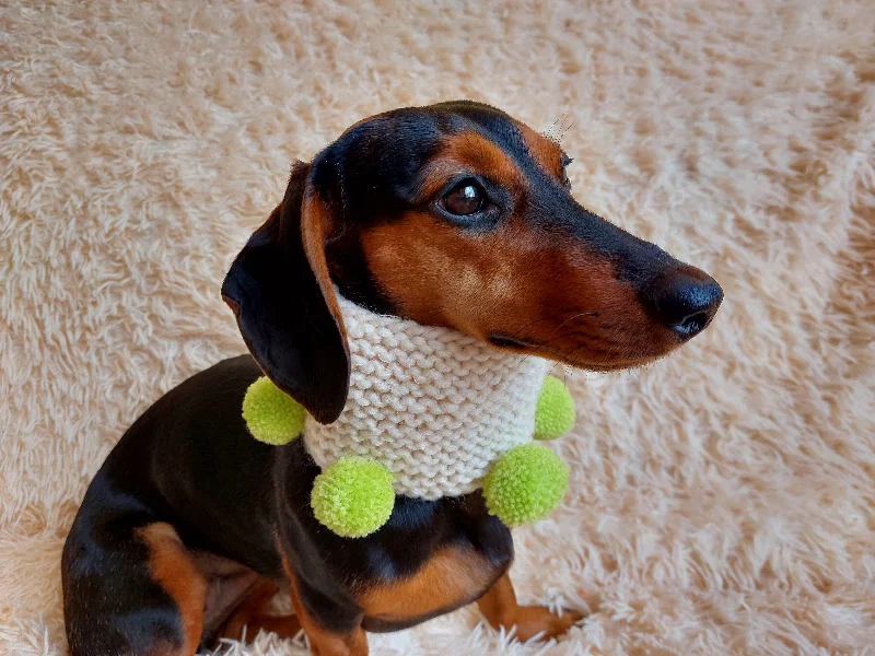 - Pet smart GPS locatorHandknitted woolen christmas dog snood with pom poms, knitted dog neck warmer, dachshund and snood dog scarf with pom poms