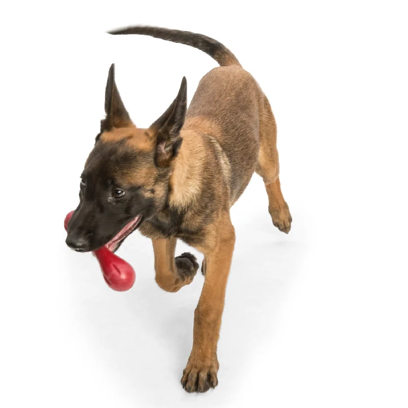 - Summer pet ice matWest Paw Hurley Fetch Toy for Tough Dogs - Ruby Red