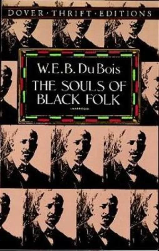 - Foldable and portable cat bagThe Souls of Black Folk