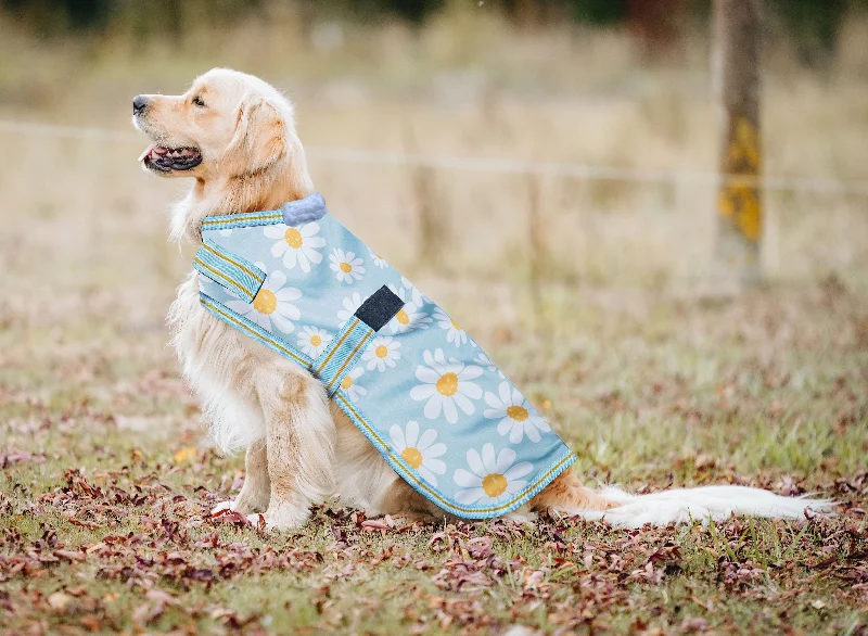 Daisy Print