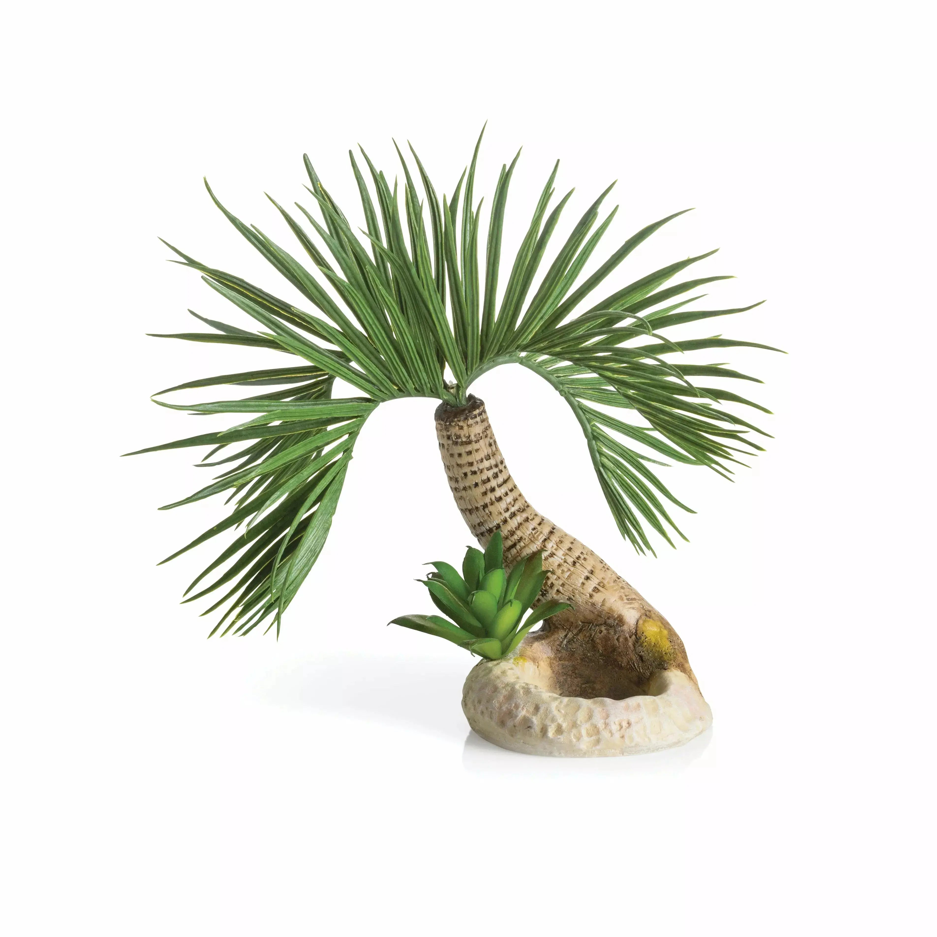 - Cat hair ball removal and hair removal creambiOrb Seychelles Palm Tree Sculpture Aquarium Decor - Cat hair ball removal and hair removal creambiOrb Seychelles Palm Tree Sculpture Aquarium Decor
