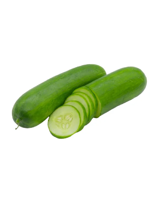 - Climbing pet constant temperature heating padSALAD Cucumber
