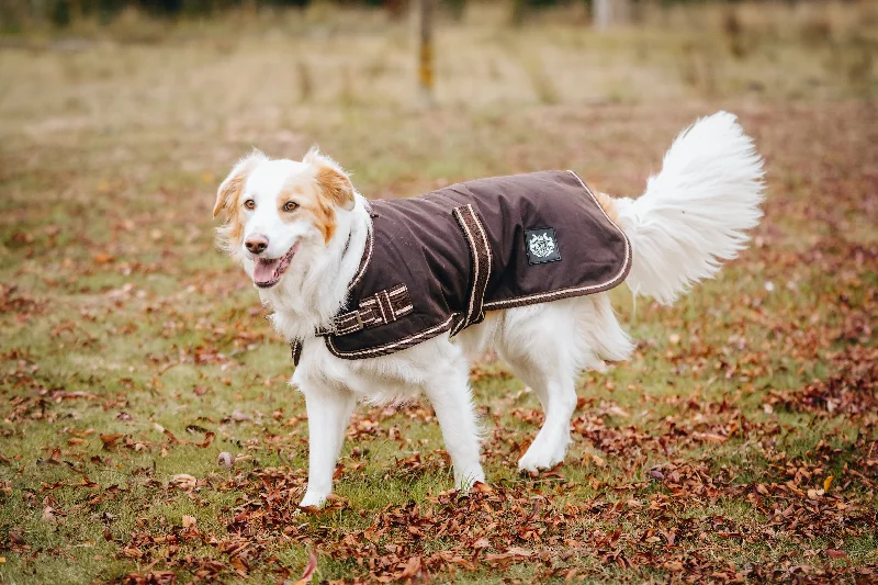 - Elderly dog ​​joint care mattressOilskin Canvas Dog Coats - 2023 Stock clearance