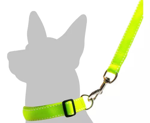 - Natural latex pet mattressJuego Collar - Trailla Med  Ref 07367