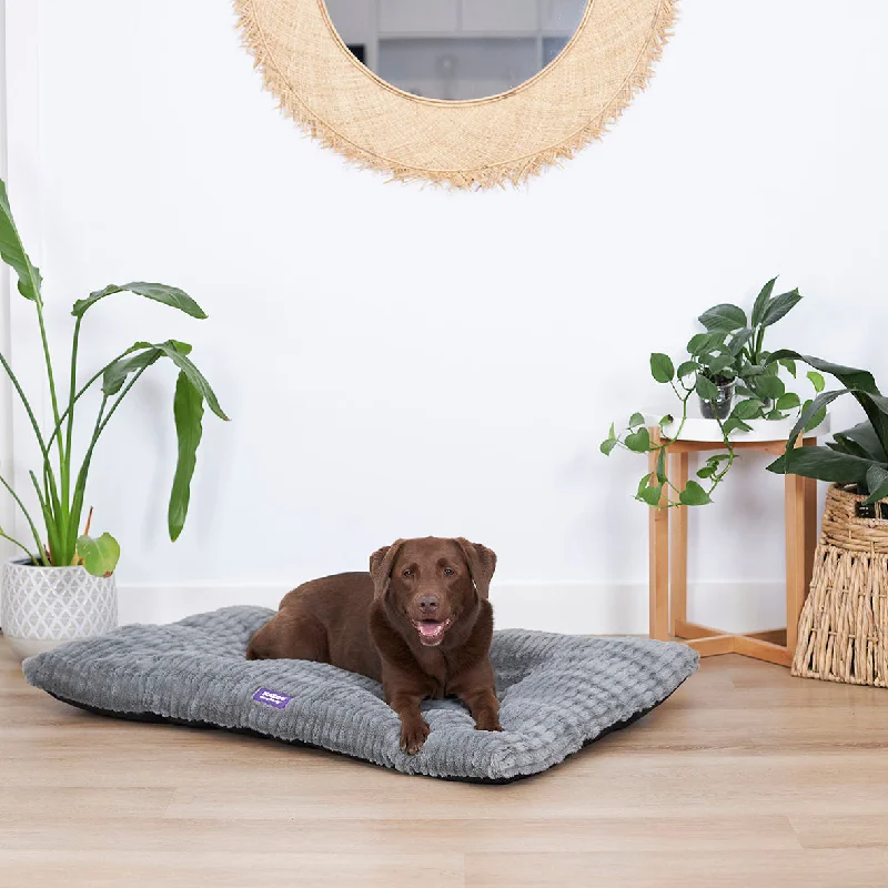- Degradable pet feces bagStorm Dog Pillow Bed - Grey